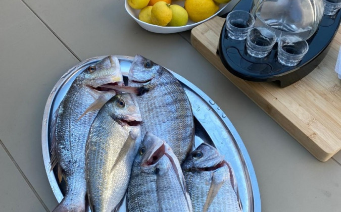Gastronomy and Activities in the Area, Villa Soldo Ston Peljesac, Croatia Ston